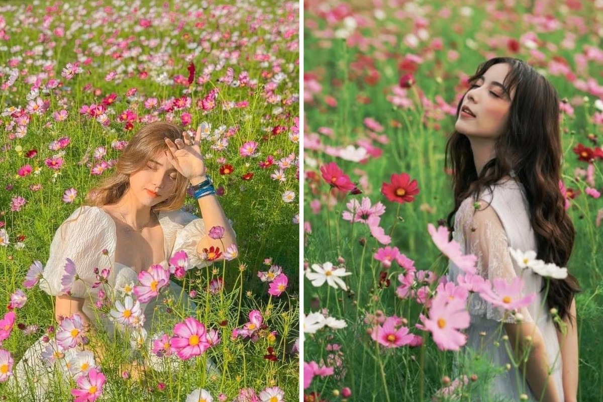 Chụp hình với lá cây hoa dại ngoài trời