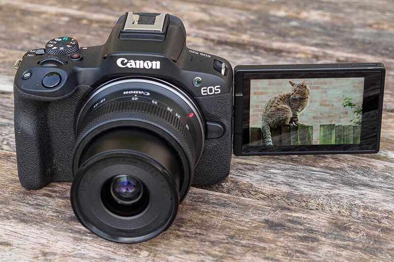 Dùng ống kính DSLR cho máy Mirrorless 