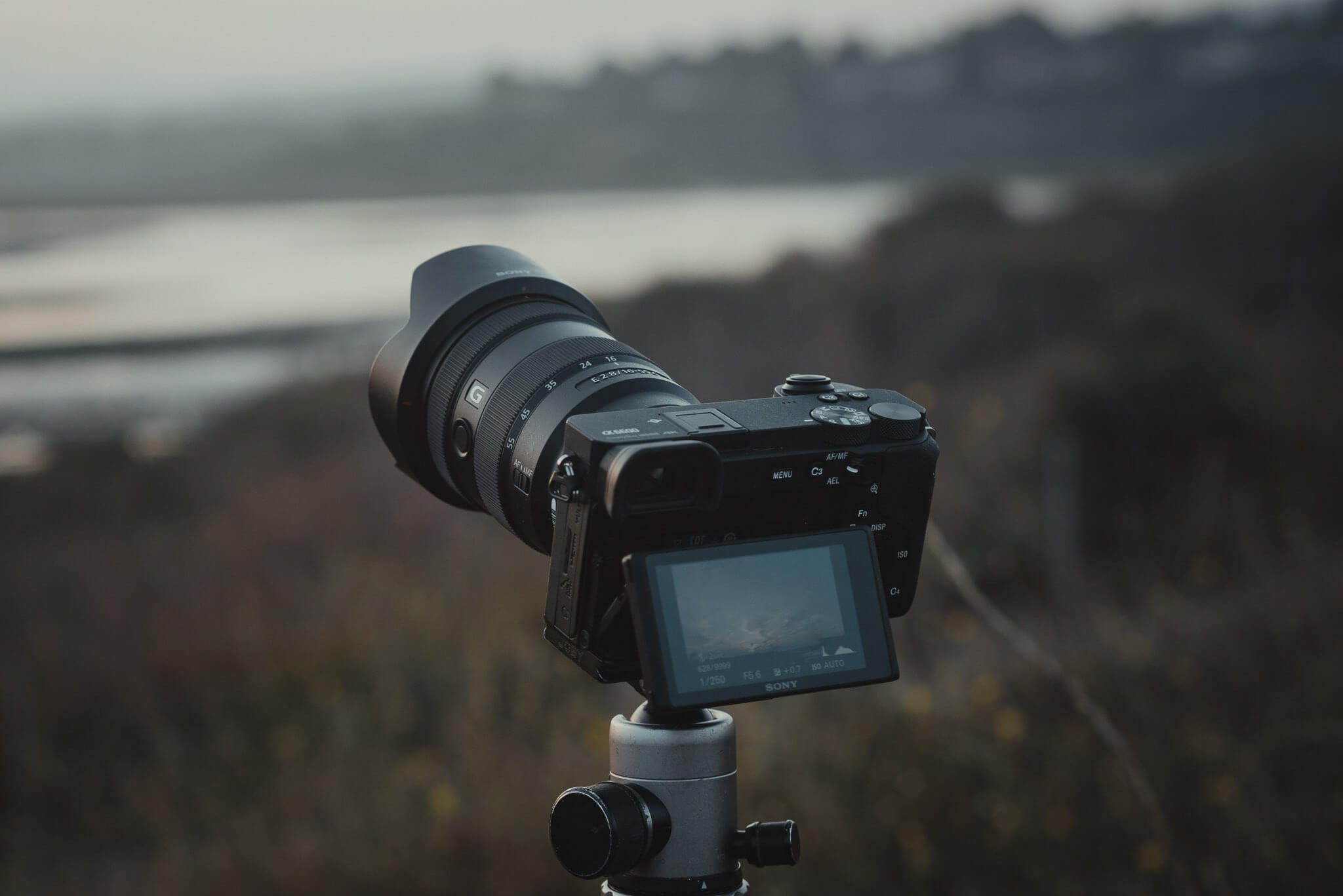 Sony A6600